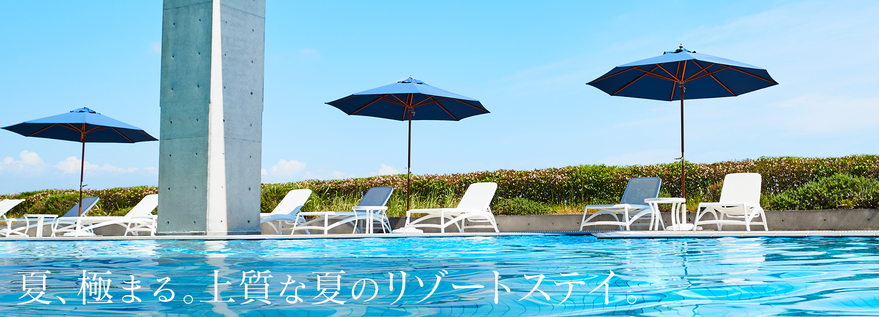 夏特集2025